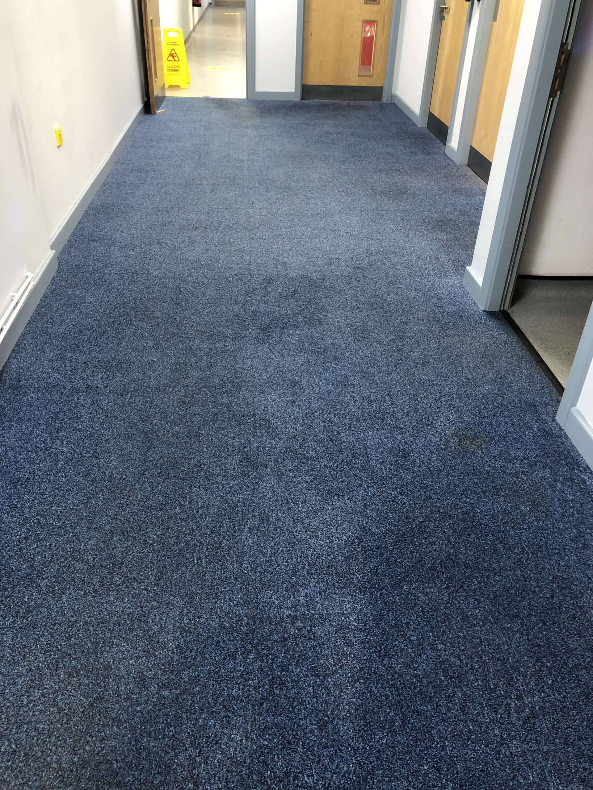 Carpet restoration after cleaning